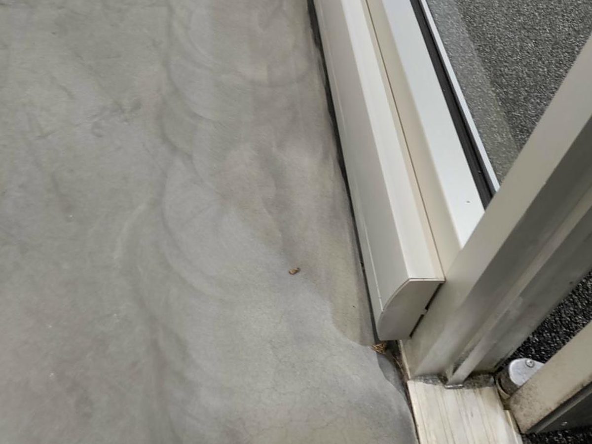 Concrete Repair project in Colorado — photo 1