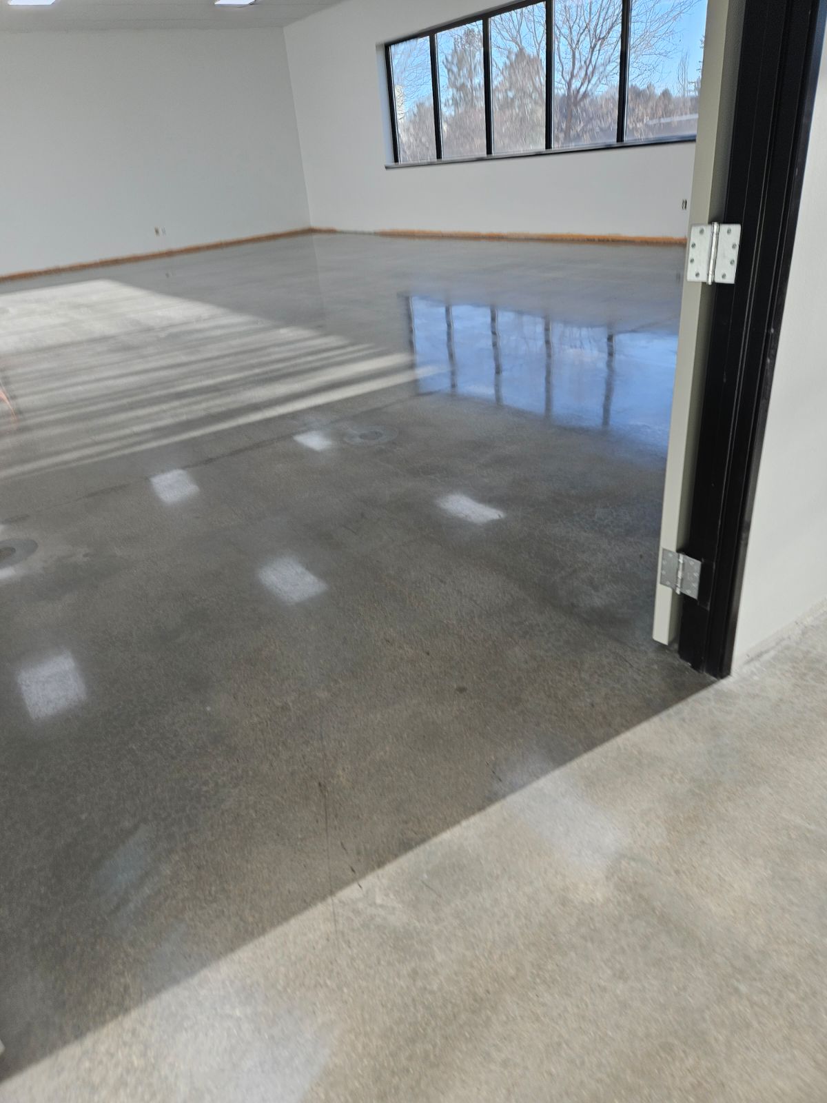 Polished concrete in commercial office space with natural window light